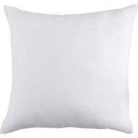 OEM Brand Solid Color Basic Home Decor Pillow Insert